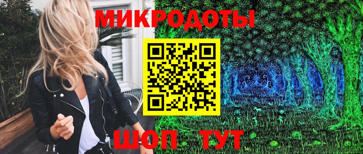 Псилоцибиновые грибы Cubensis Юрга