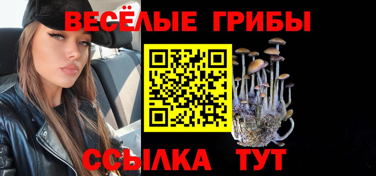 Юрга  Псилоцибиновые грибы Psilocybine cubensis  Вход с VPN 
